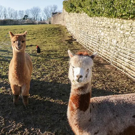 公寓 The Granary Loft 阿尔弗斯顿