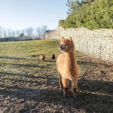 The Granary Loft 公寓 *